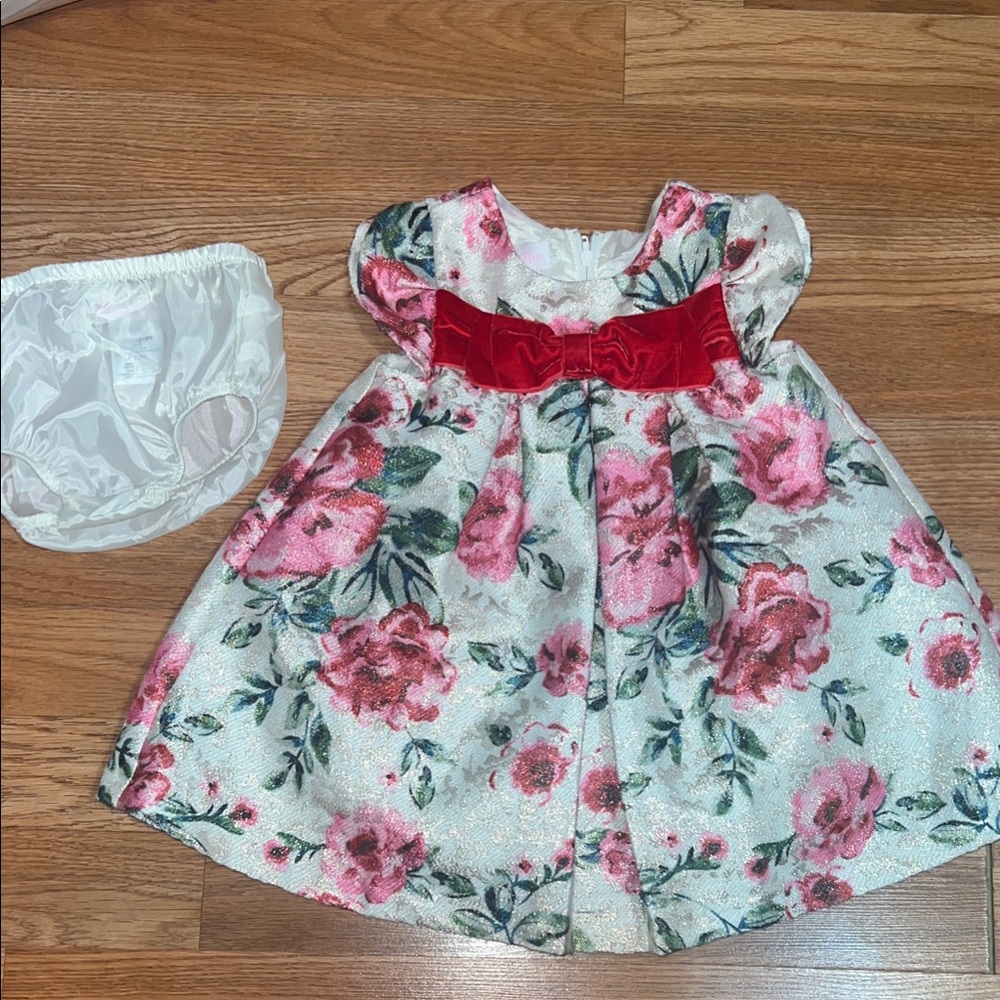 Bonnie Baby Pink and Red Floral Dress
